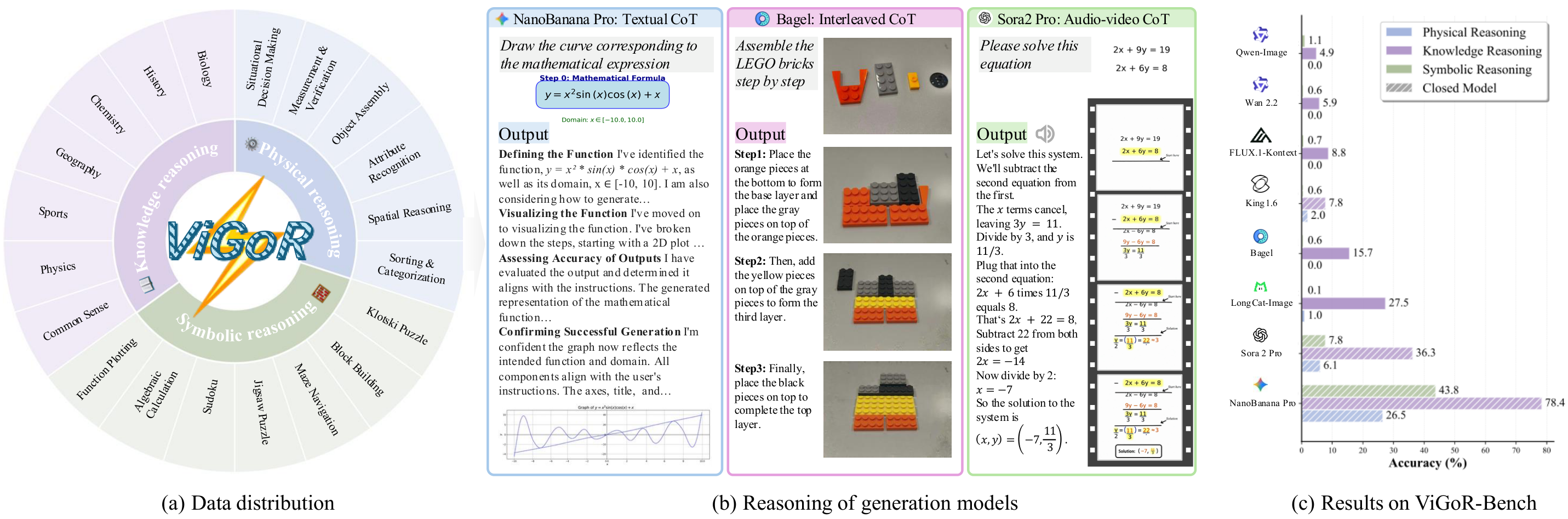 ViGoR-Bench Overview